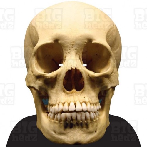 HUMAN SKULL : A3 Size Face Mask BIGhedz