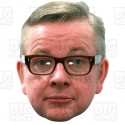 MICHAEL GOVE : Life-size Face Mask